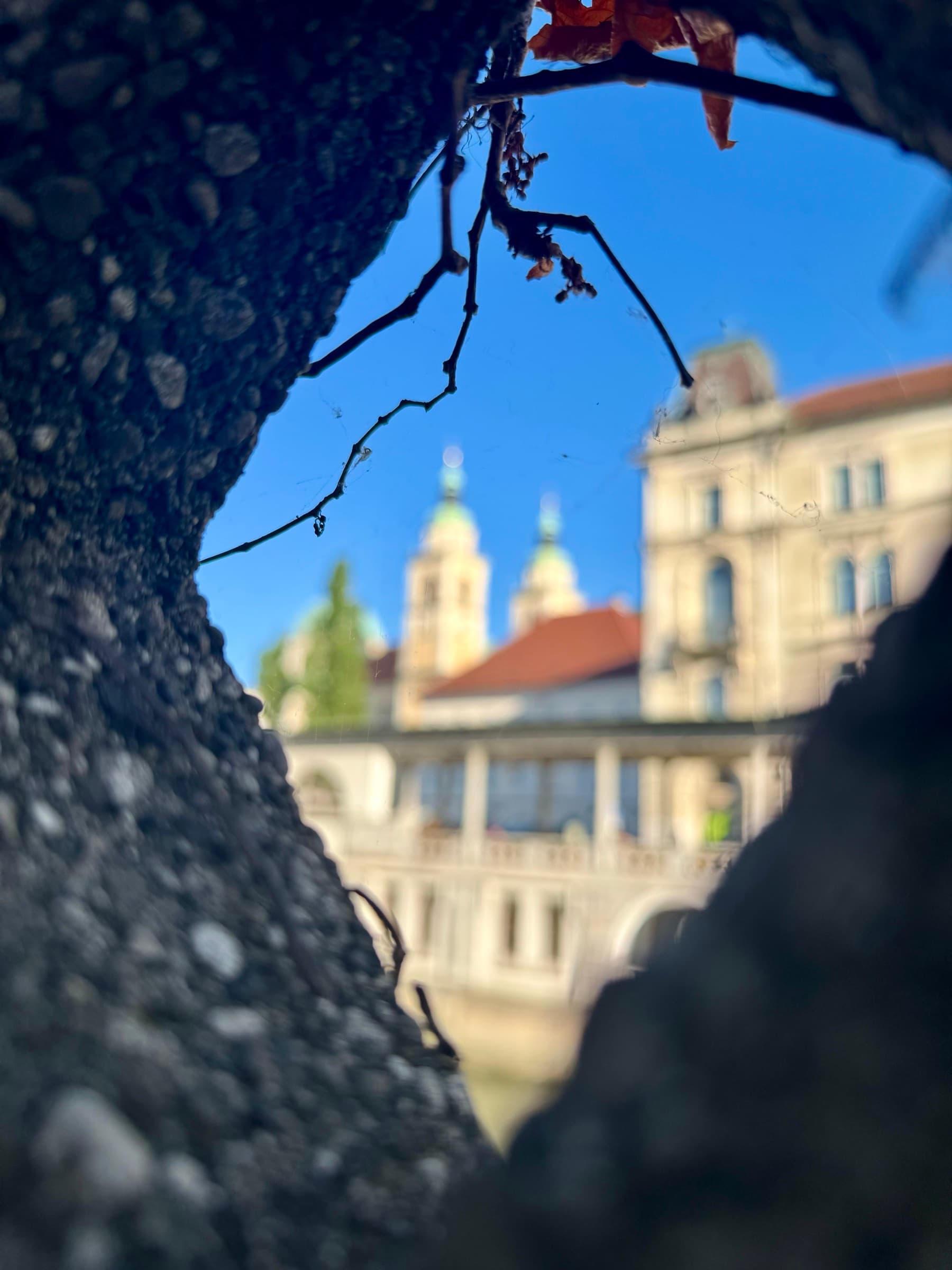 Ljubljana — photo 2