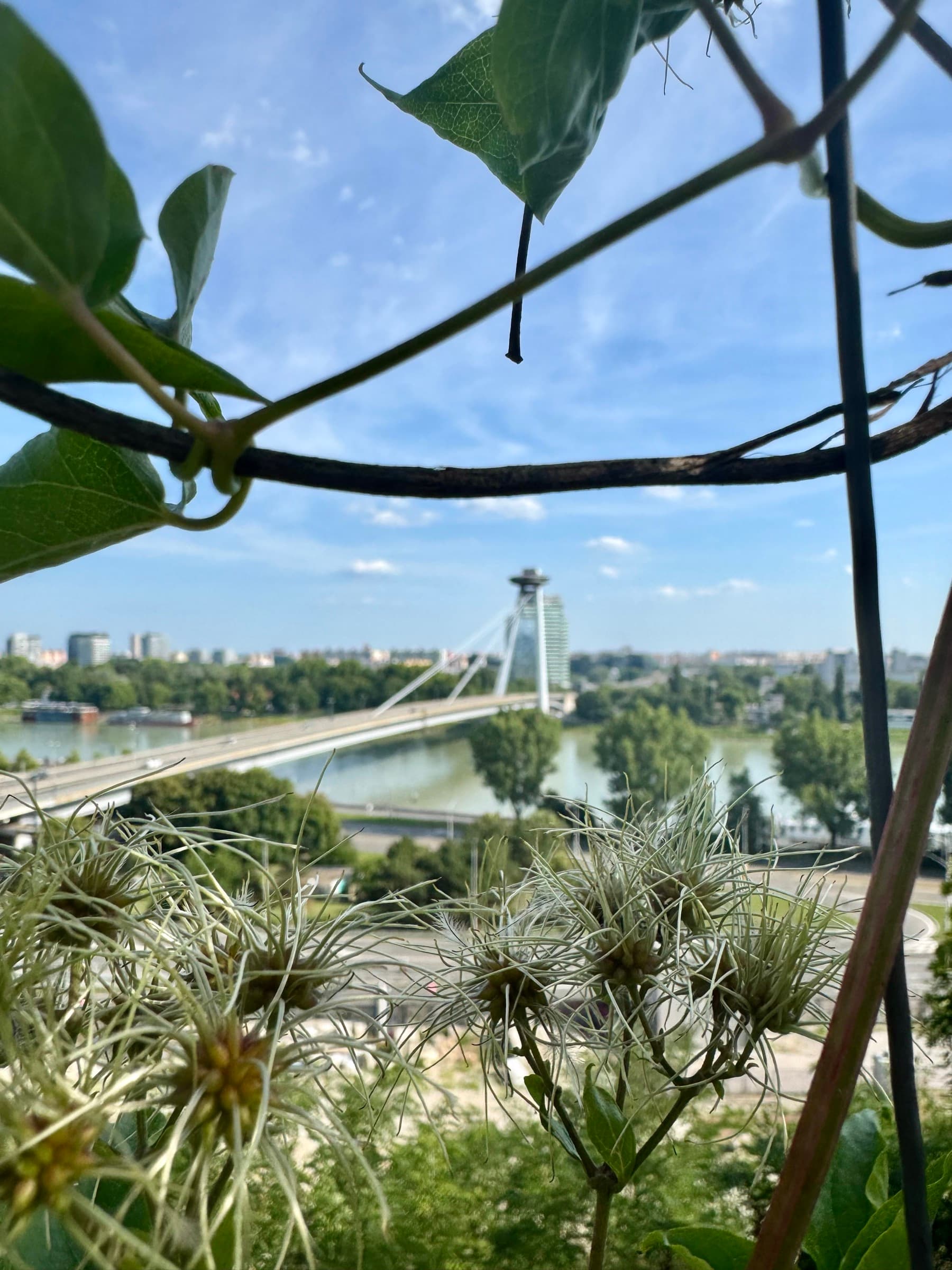 Bratislava