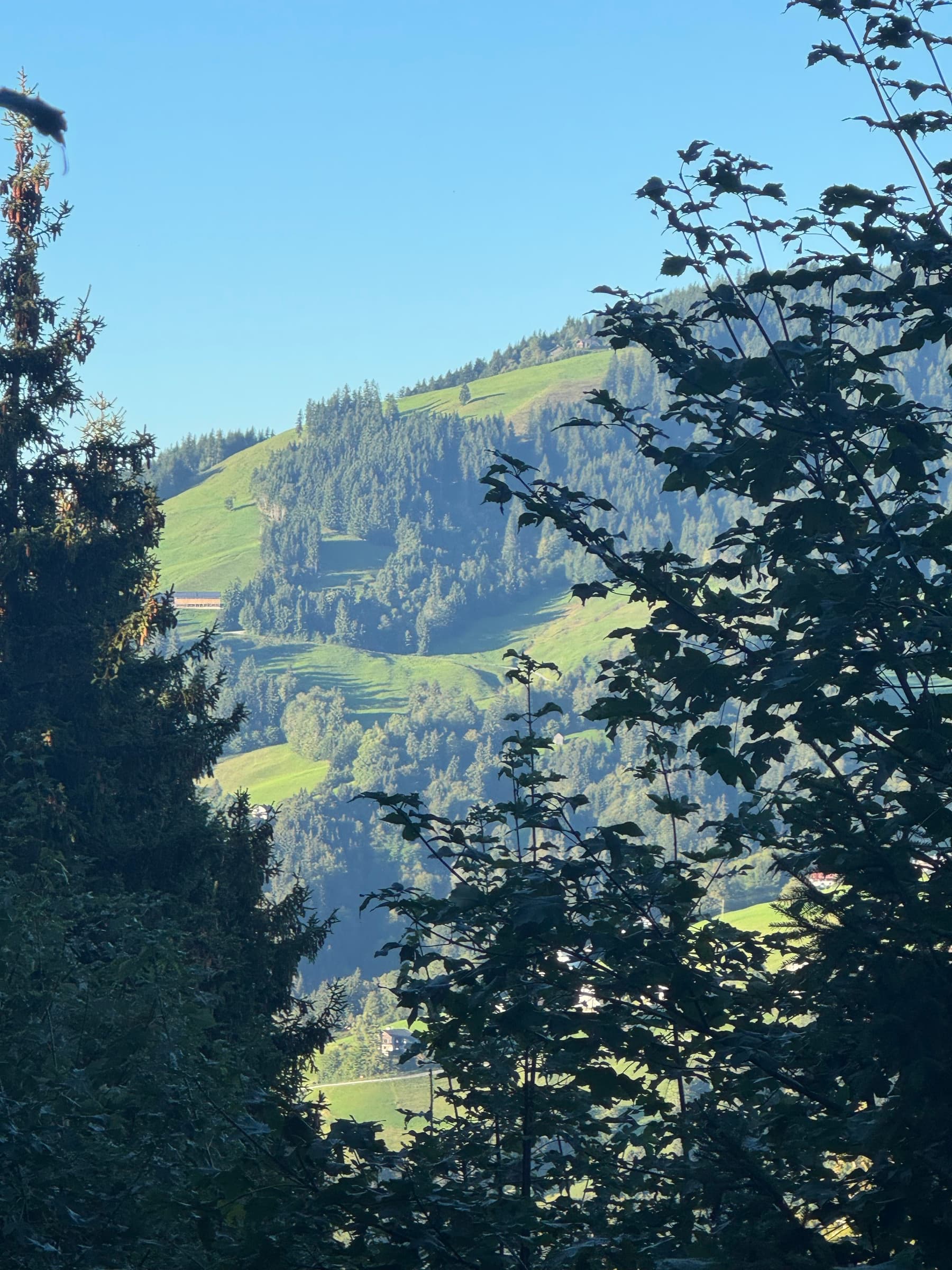 Dornbirn — photo 6
