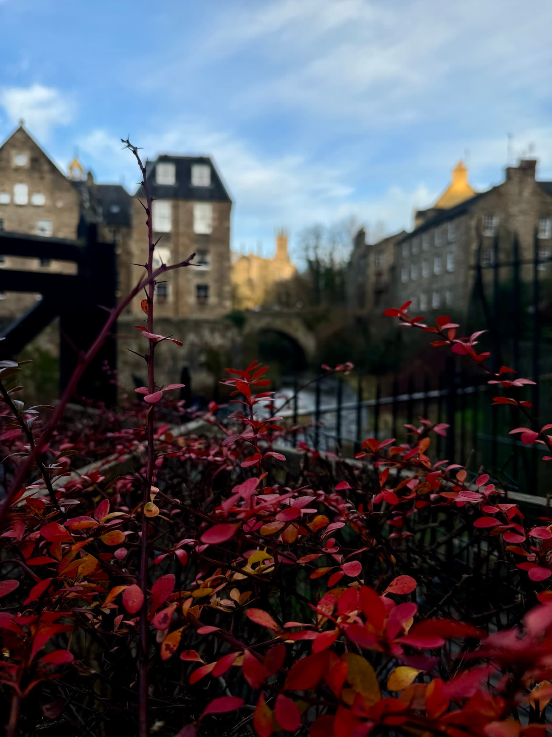 Edinburgh — photo 7