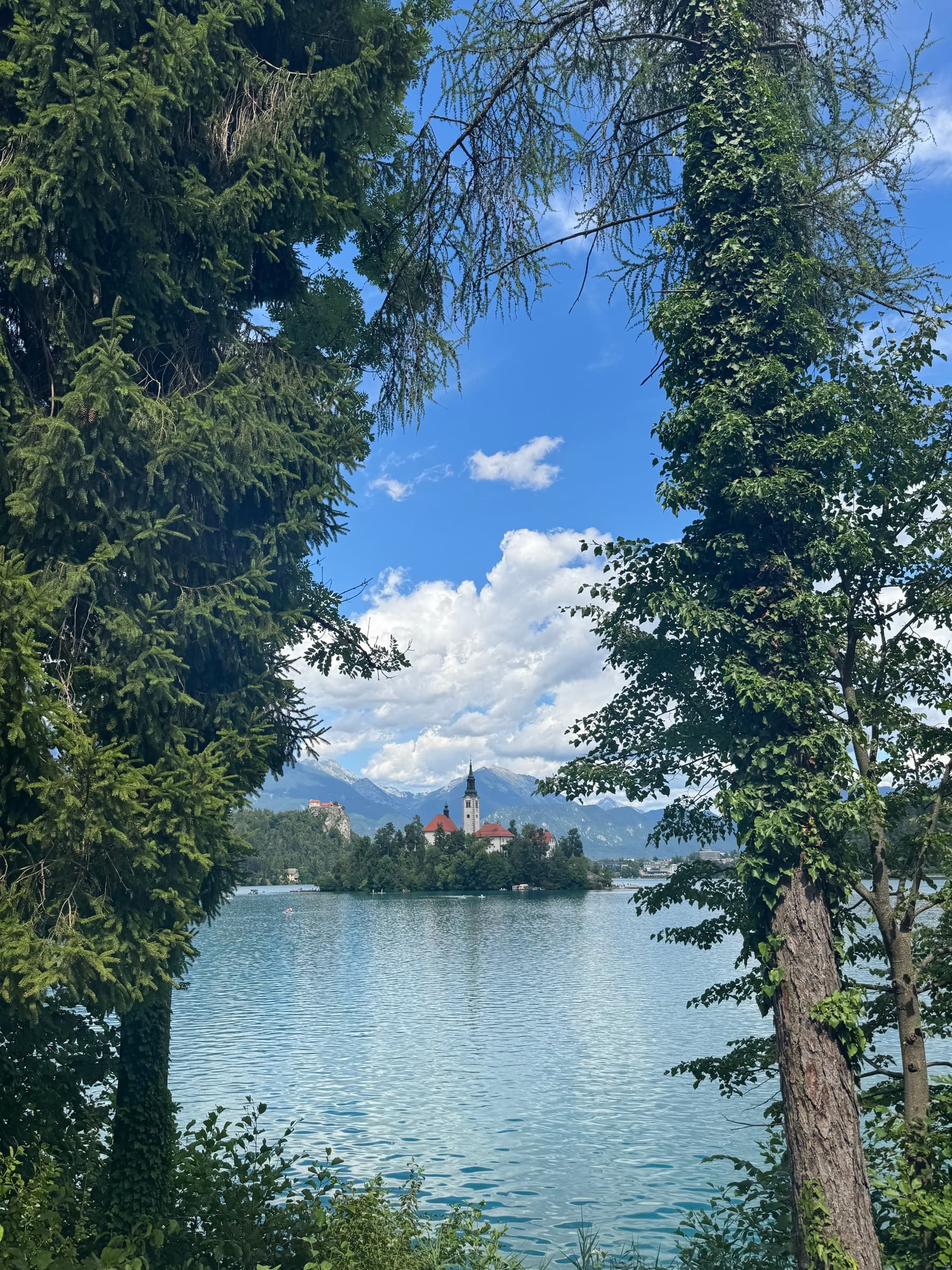 Bled Island