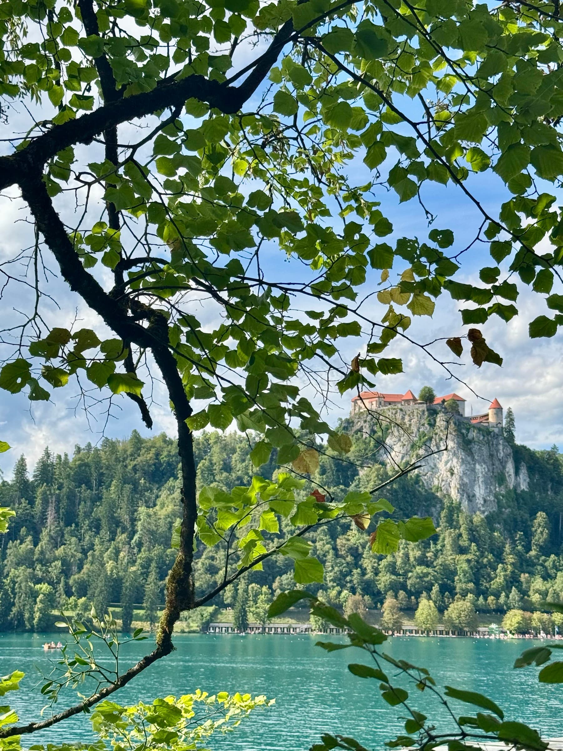 Bled Castle