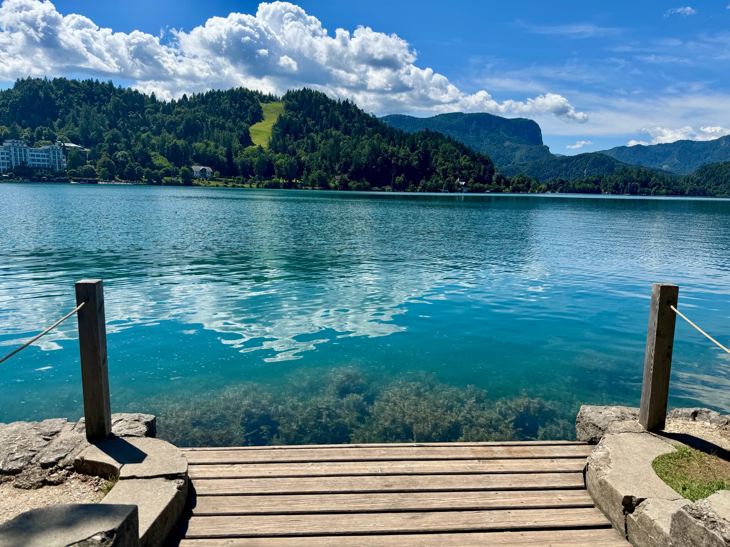 Swimming in Lake Bled