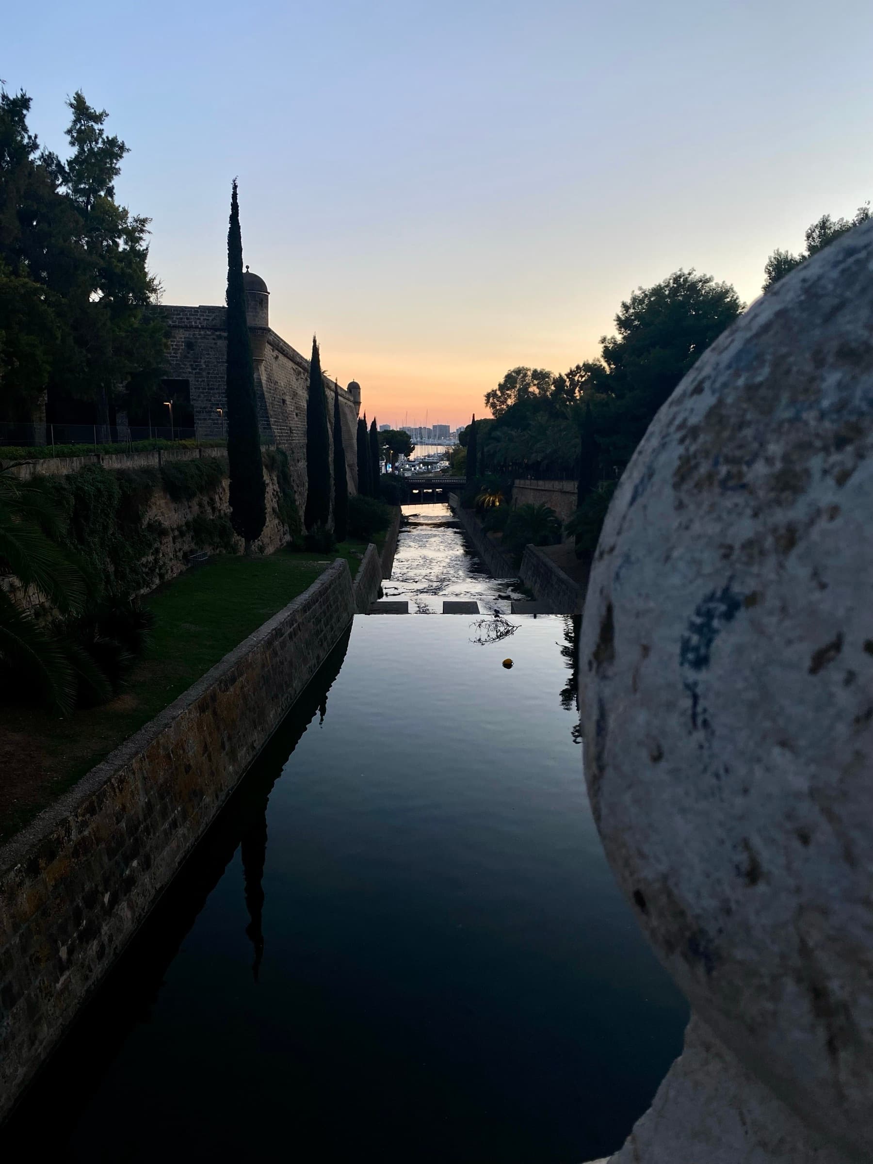 Palma — photo 4