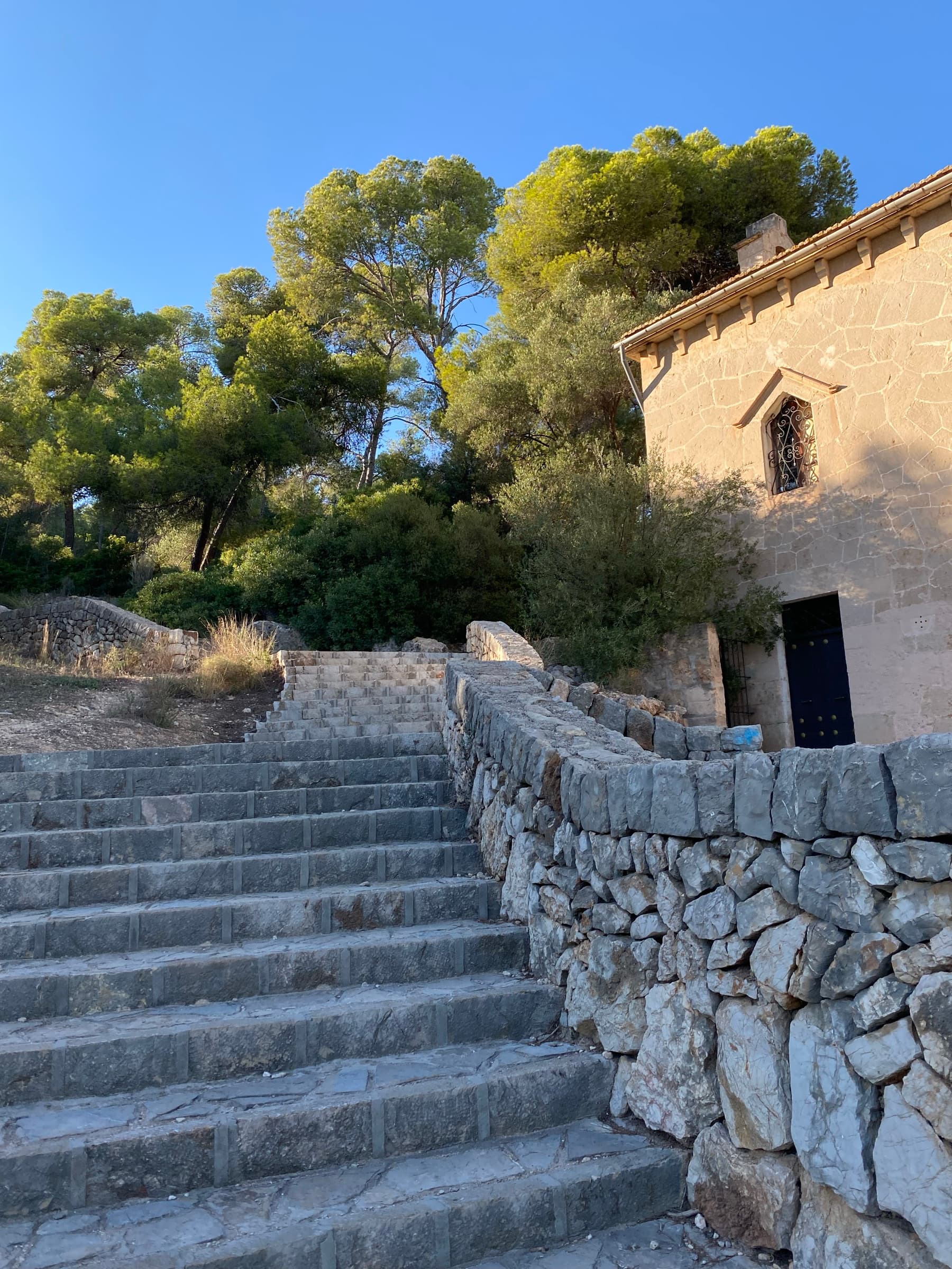 Palma — photo 5