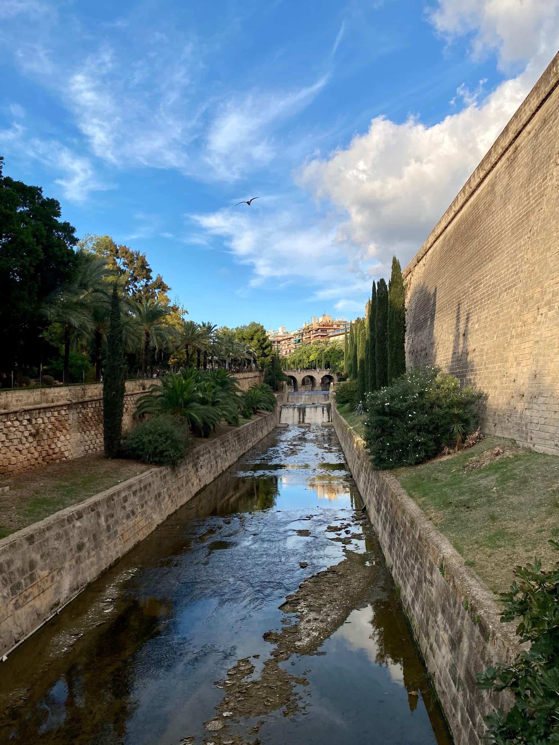 Palma