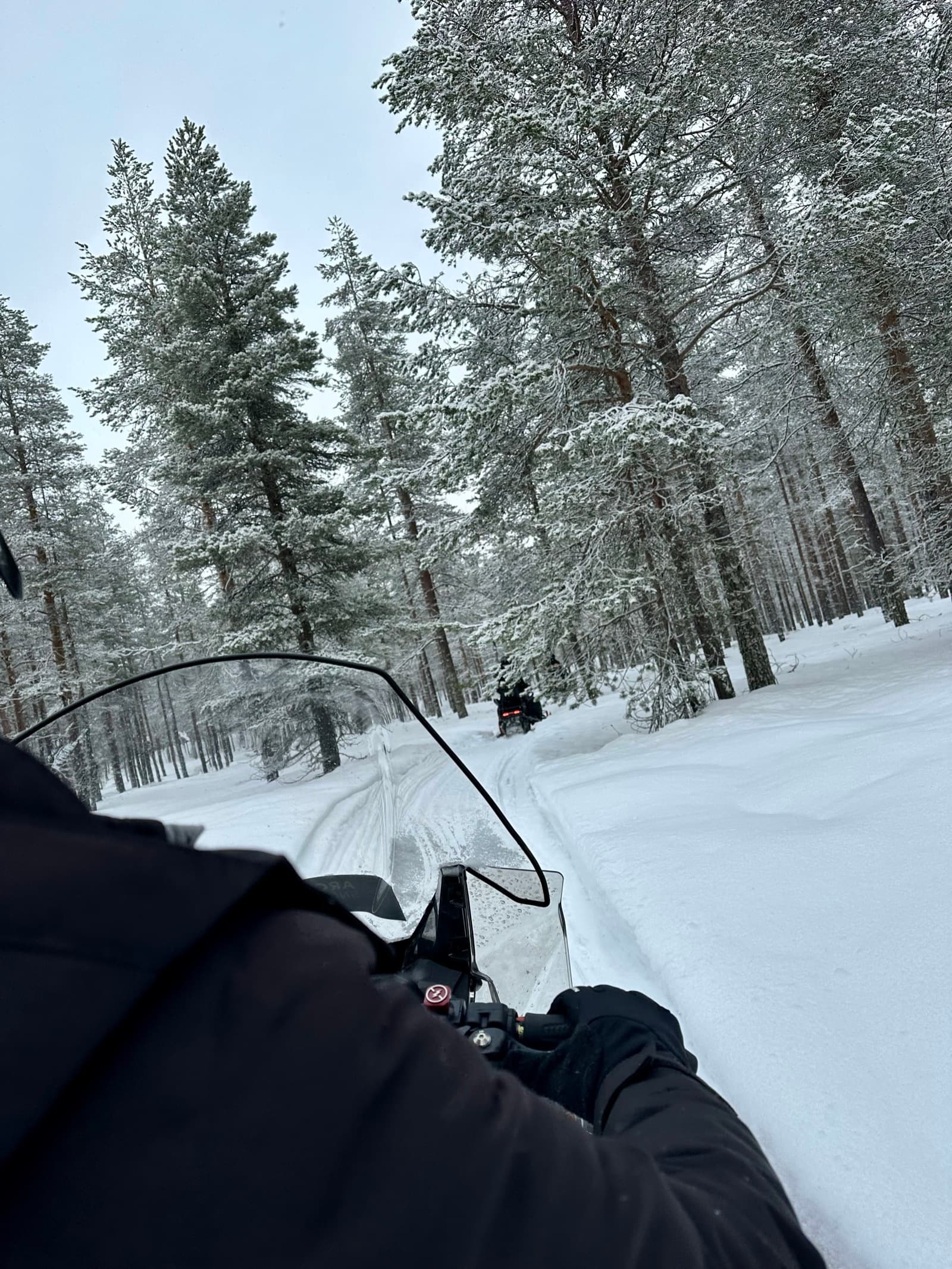 Rovaniemi — photo 2