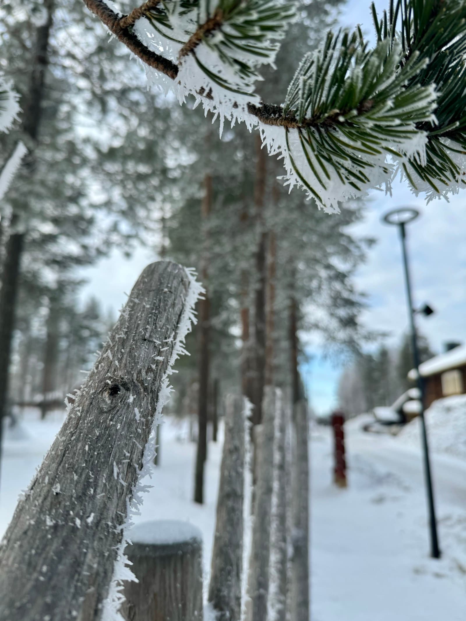 Rovaniemi — photo 3