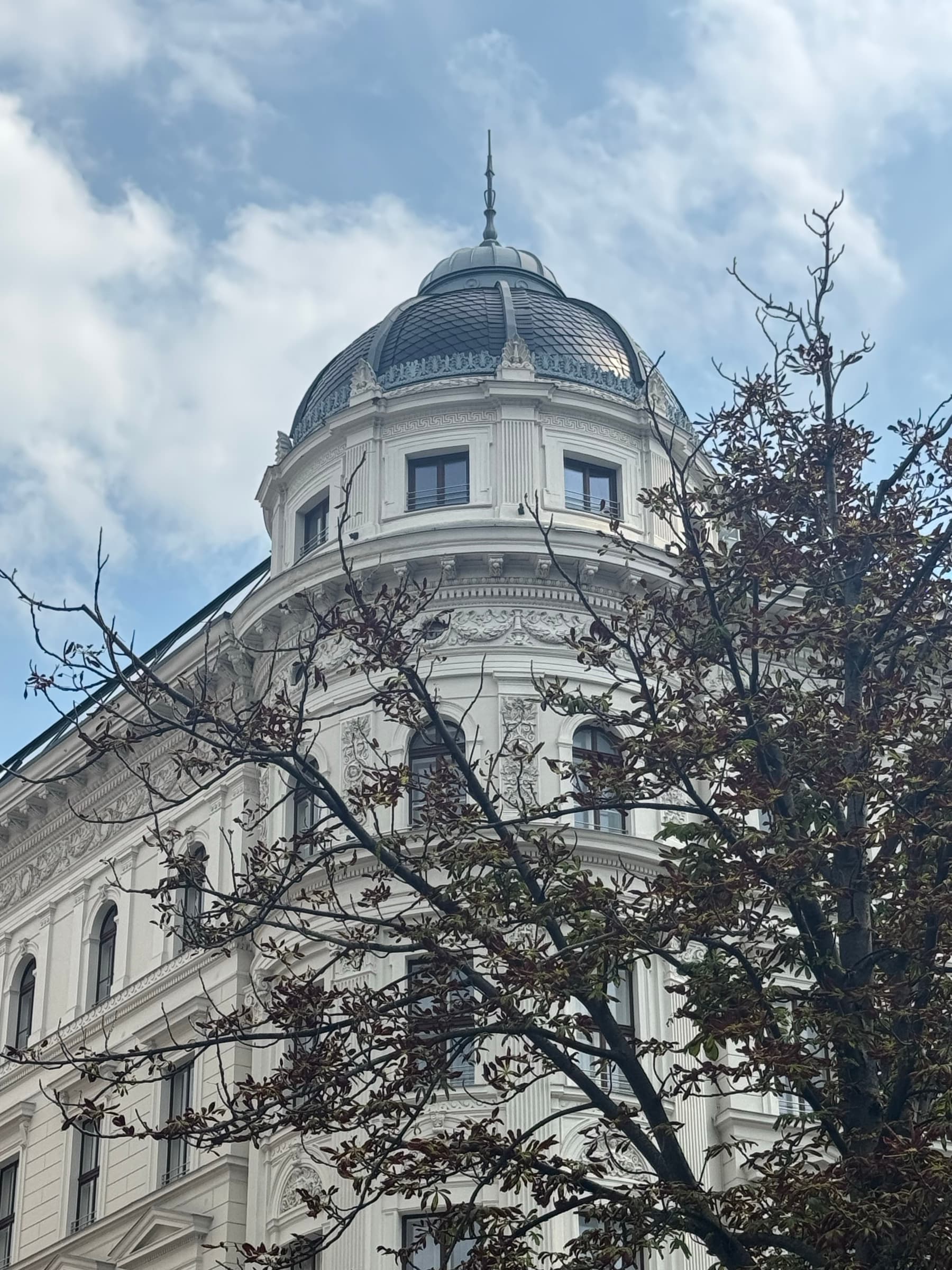 Vienna — photo 3